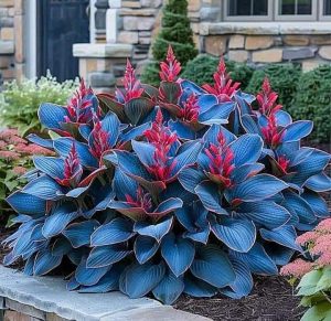 Хоста Грин Фог купить по цене от 669р. в интернет-магазине «Посадика» с доставкой почтой в в Лабинске и по всей России – [изображение №1].